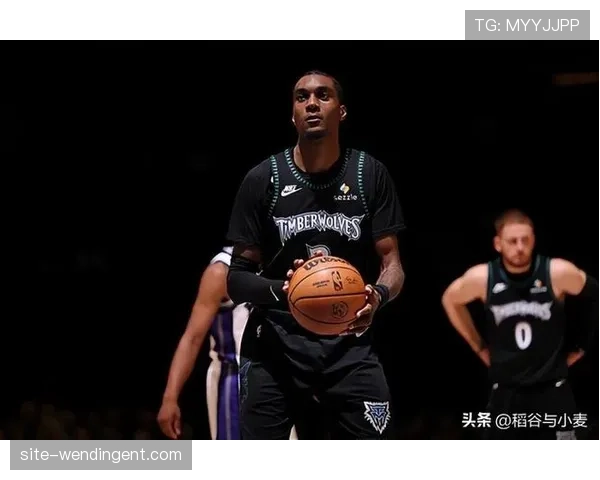 麦克丹尼尔斯三分命中率44%，森林狼角色球员火力支援。